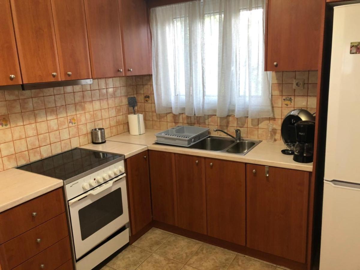 VasilítsionΑgrilitsa House公寓 外观 照片